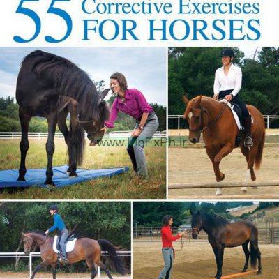 55 تمرین اصلاحی برای اسب ها