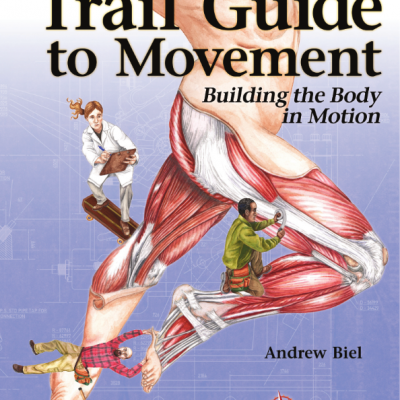 راهنمای نوین به جنبش، ساخت بدن در حرکت