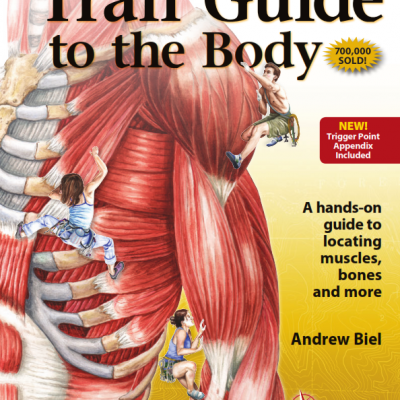راهنمای نوین به بدن، یک راهنمای عملی به محل عضلات، استخوان ها و بیشتر